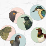 Boxed Set of 6 Native NZ Bird Coasters