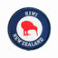 Kiwi Bird New Zealand Iron On Patch