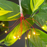 Pretty Pohutukawa LED Lights