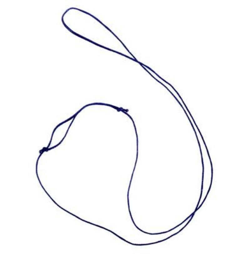 Maori Bone Hook Necklace with Whale Tail – ShopNZ